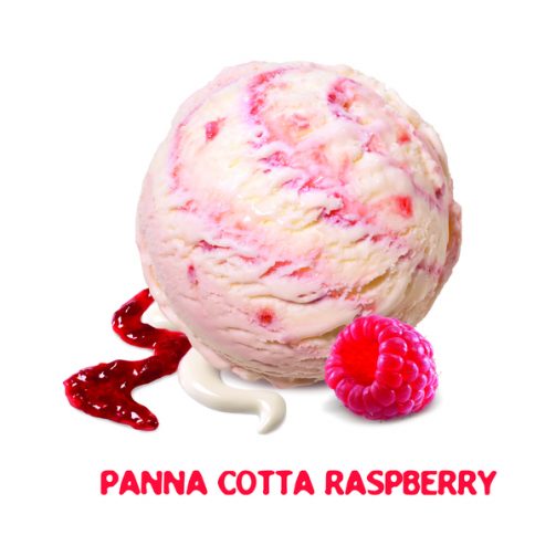 Movenpick Raspberry Panna Cotta