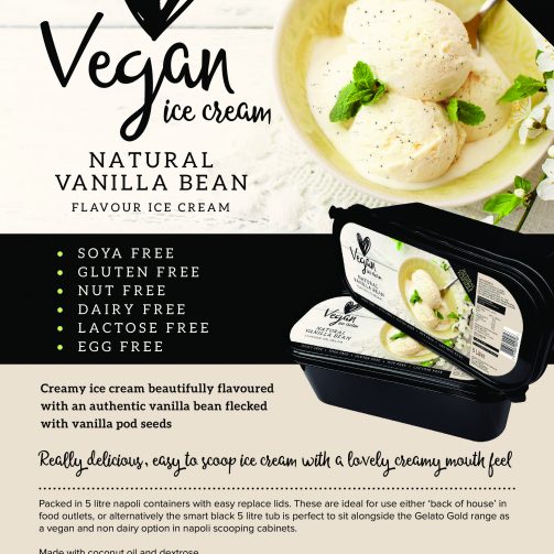 Vegan Vanilla Ice Cream