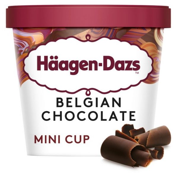 Haagen Dazs Belgium Chocolate Mini Tub